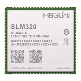 MEIGLink Module SLM320-E | 01