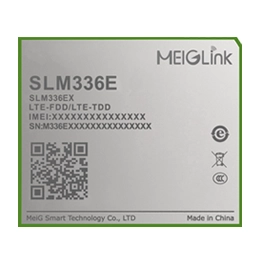 MEIGLink Module SLM336-E | 01